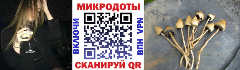 Псилоцибиновые грибы Psilocybe  Берёзовка 
